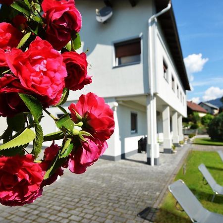 Alpenblick - Modernes Und Grosszuegiges Apartment Villach Extérieur photo